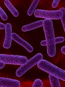 http://www.dreamstime.com/royalty-free-stock-image-bacteria-close-up-image12989026